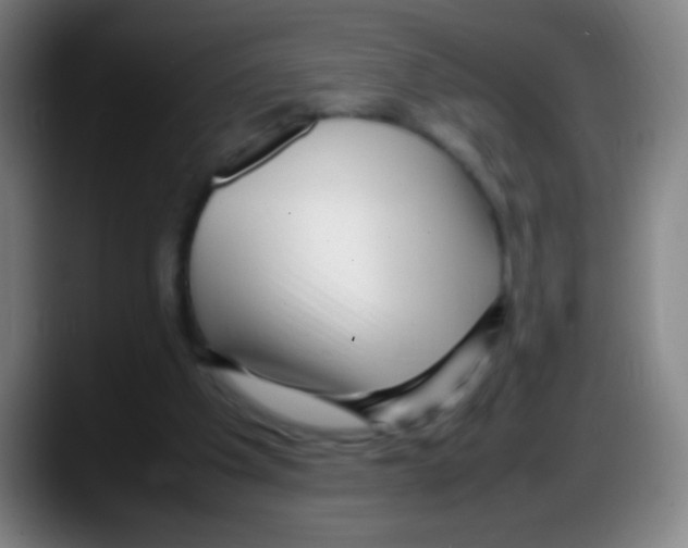 X0000087620201200705252009