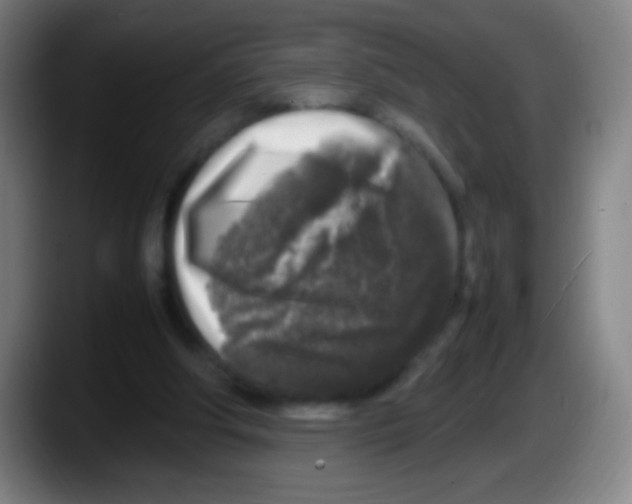 X0000087620202200705252009