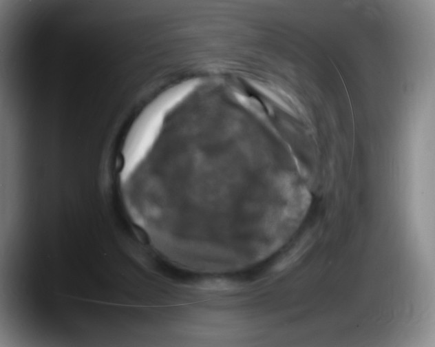 X0000087620203200705252009