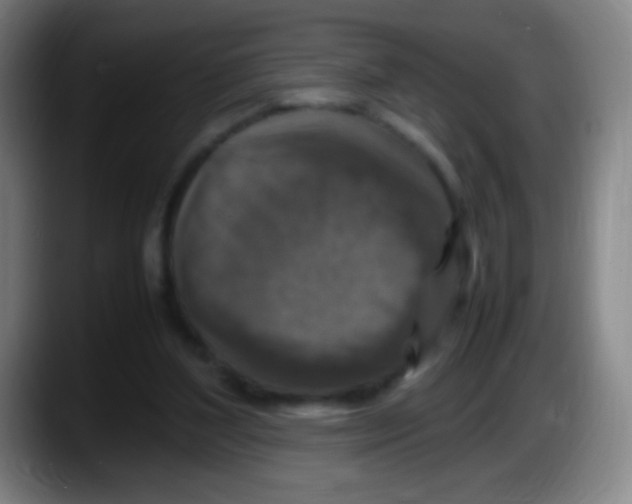 X0000087620204200705252009