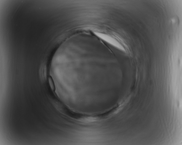 X0000087620205200705252009