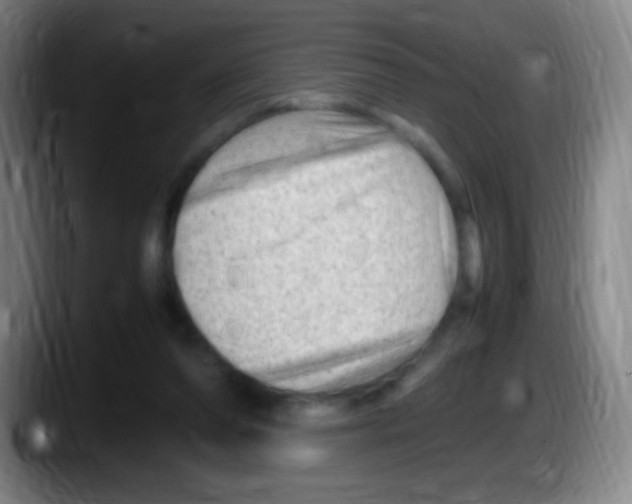 X0000087620208200705252009