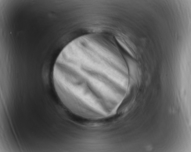 X0000087620209200705252009