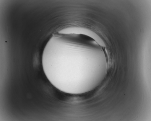 X0000087620212200705252009