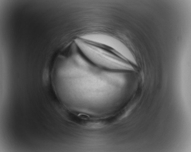 X0000087620213200705252009