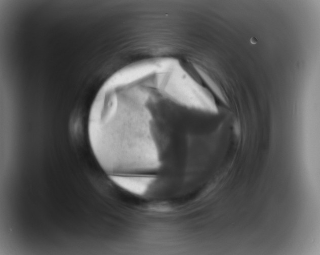 X0000087620214200705252009