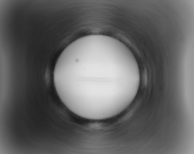 X0000087620216200705252009