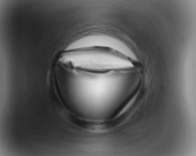X0000087620217200705252009