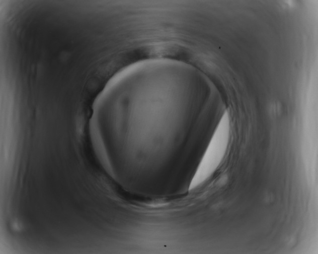X0000087620219200705252009