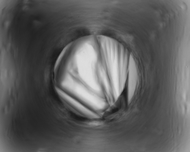 X0000087620221200705252009
