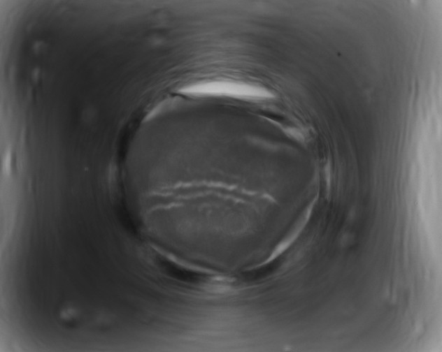X0000087620222200705252009