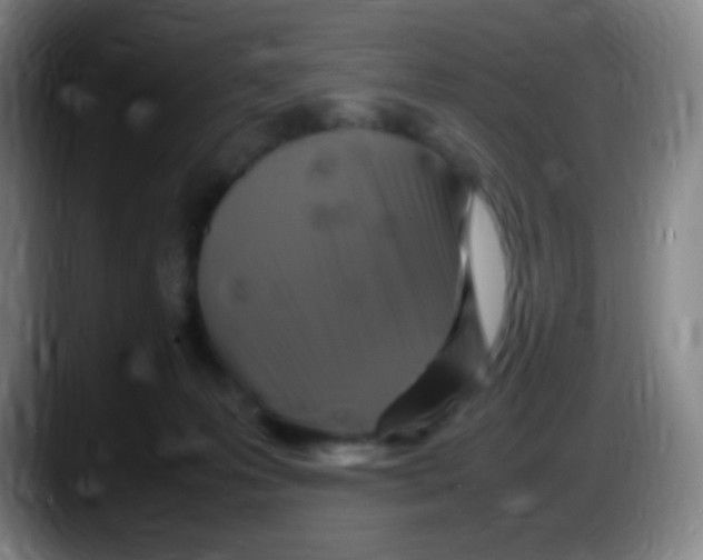 X0000087620223200705252009