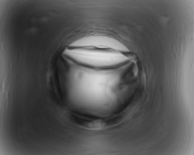 X0000087620225200705252009