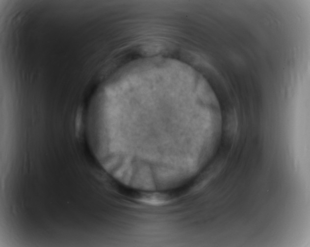 X0000087620226200705252009