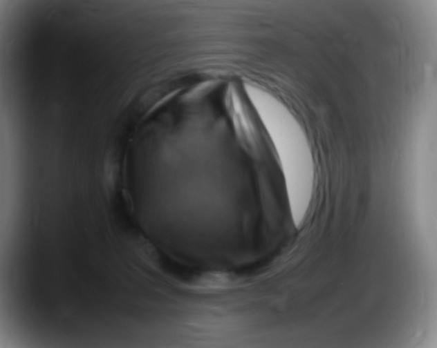 X0000087620227200705252009