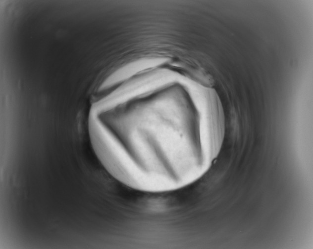 X0000087620228200705252009