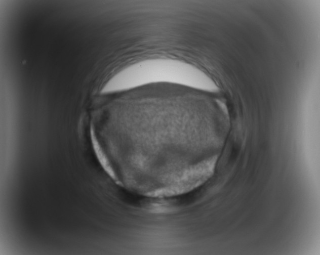 X0000087620229200705252009