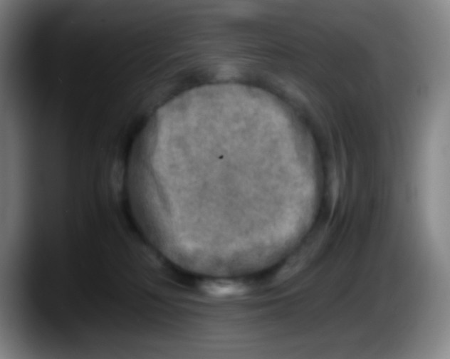 X0000087620230200705252009