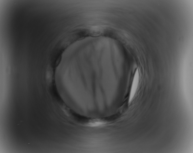 X0000087620231200705252009