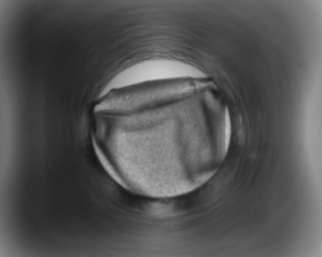 X0000087620232200705252009