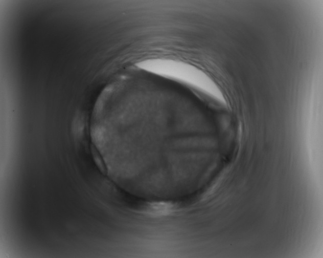 X0000087620233200705252009