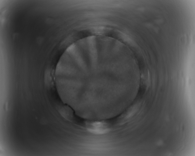 X0000087620237200705252009