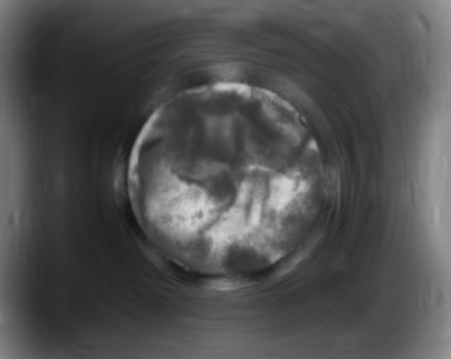 X0000087620238200705252009