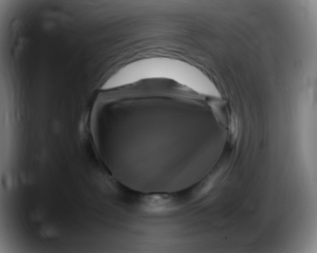 X0000087620239200705252009