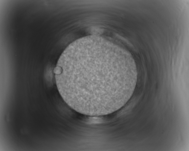 X0000087620240200705252009