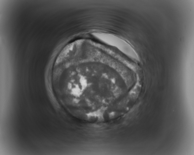 X0000087620241200705252008