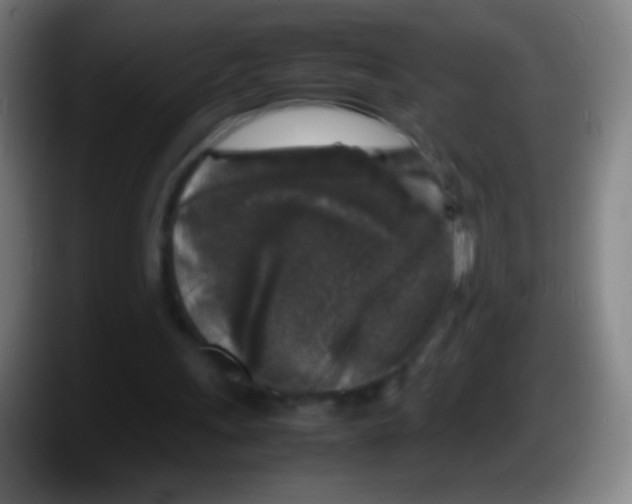 X0000087620243200705252008