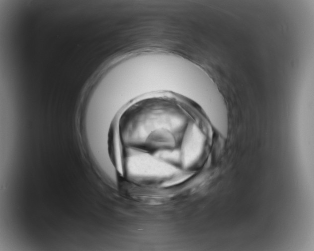 X0000087620244200705252008