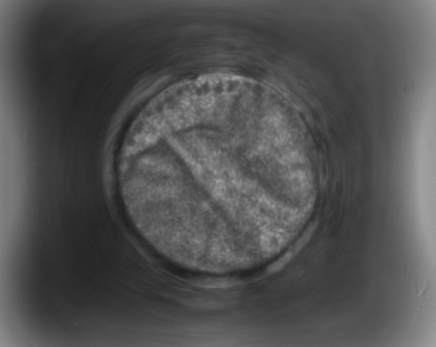 X0000087620245200705252008