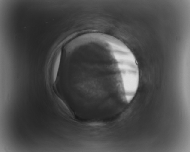 X0000087620247200705252008