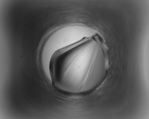 X0000087620248200705252008