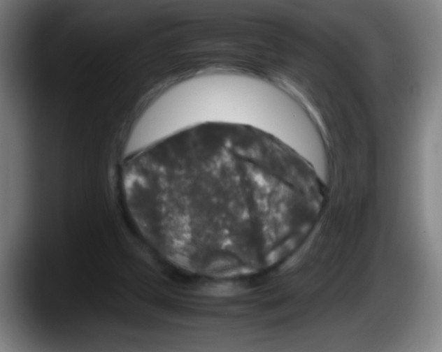 X0000087620249200705252008