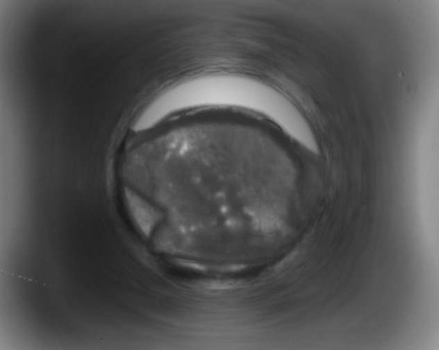 X0000087620250200705252008
