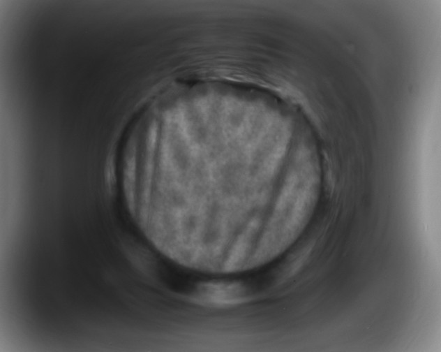 X0000087620251200705252008