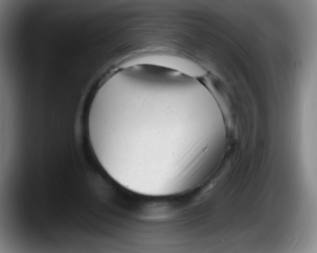 X0000087620252200705252008