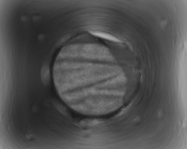 X0000087620254200705252008