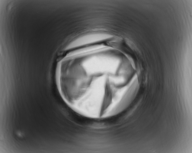 X0000087620256200705252008