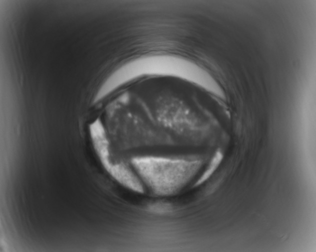 X0000087620258200705252008