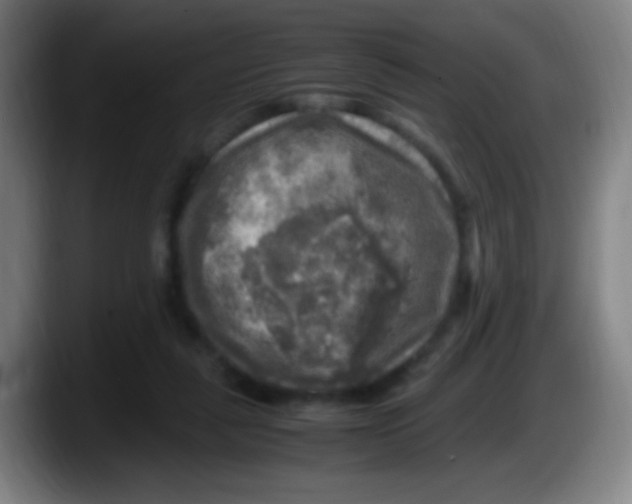 X0000087620259200705252008