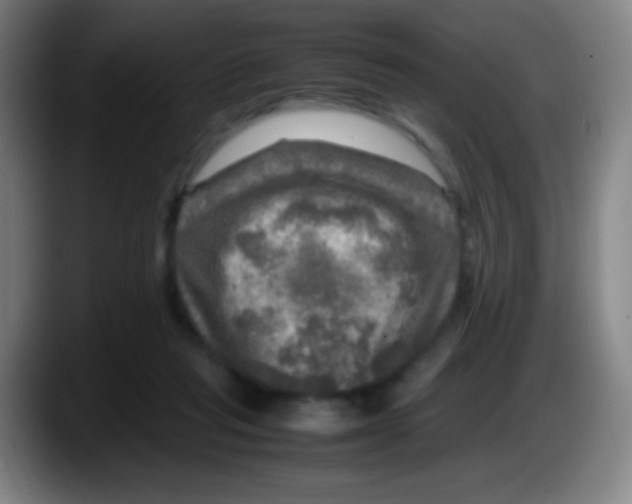 X0000087620261200705252008