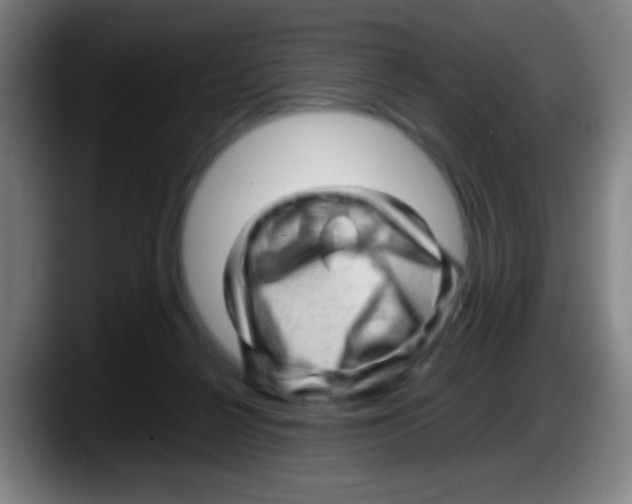 X0000087620264200705252008