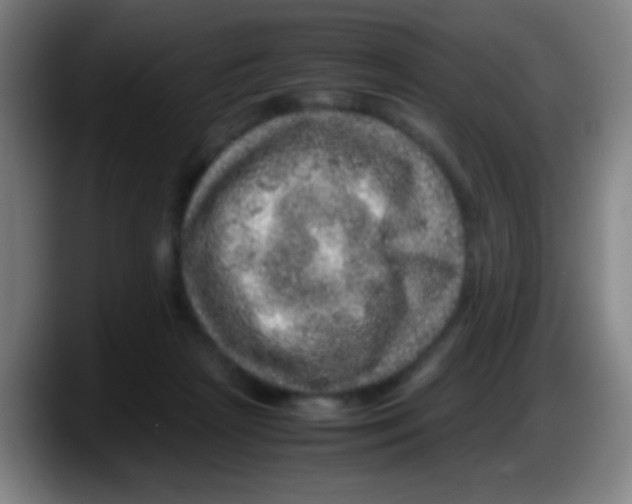 X0000087620265200705252008