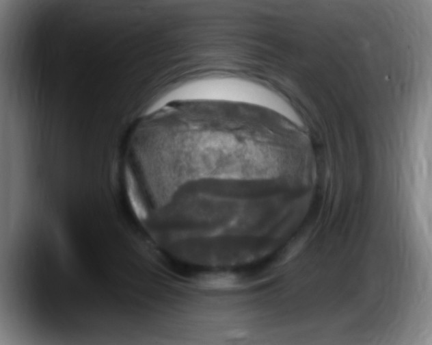 X0000087620266200705252008