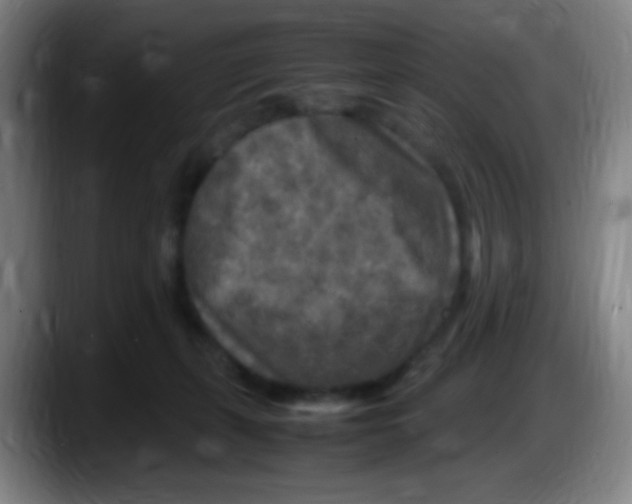 X0000087620271200705252008