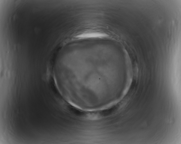 X0000087620272200705252009