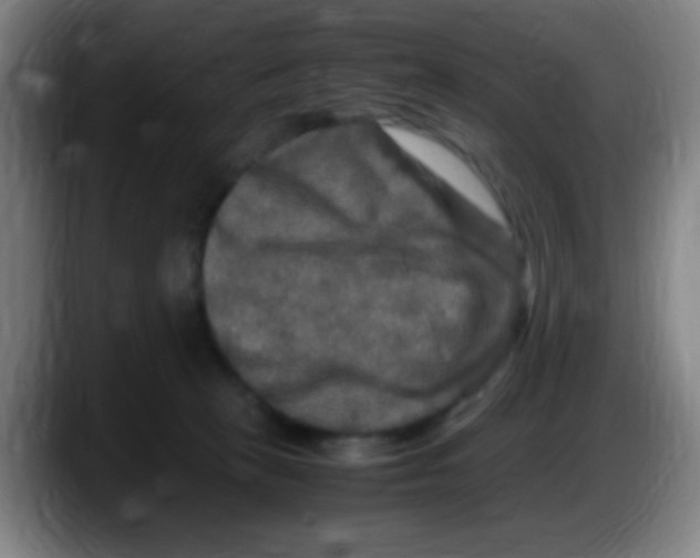 X0000087620273200705252009